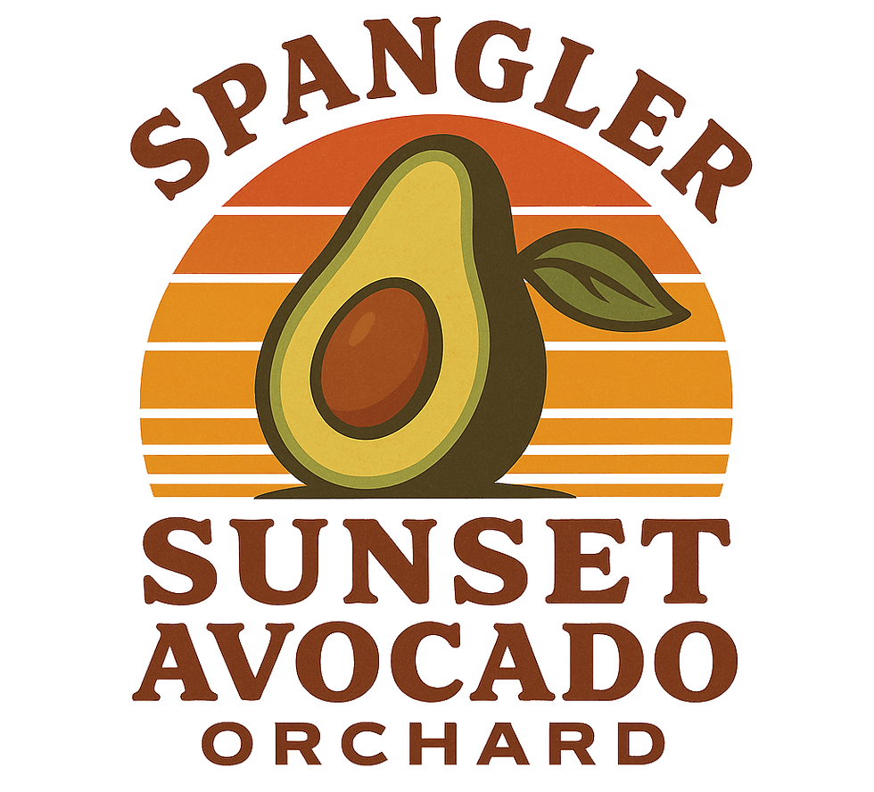 Spangler_Sunset_transparent.png