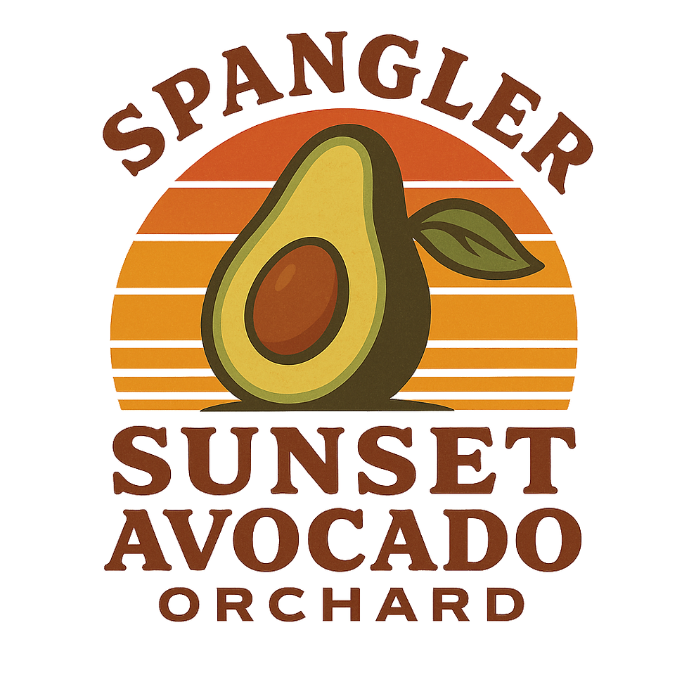 Spangler_Sunset_transparent.png