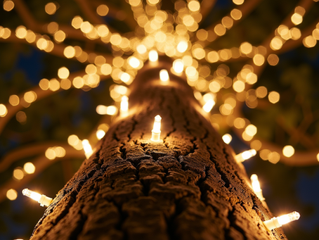 Creative Ways to Use Holiday Lighting