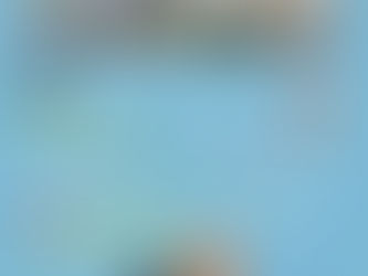 Application for the International Master’s Program of the Department of Agricultural Economic, NTU