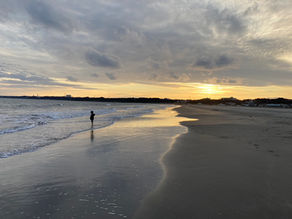 ホームページを開設しました