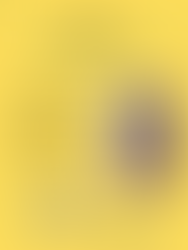 Kovo 31 d. konferencijos pranešėjai