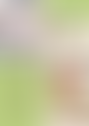 Tapk savanoriu vasaros stovyklose!