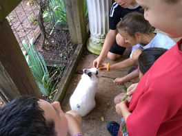 Wild World Session 1 Day 1