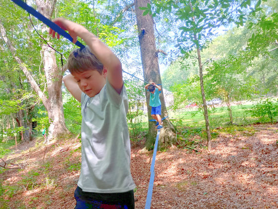 Sense-ational Science Day 4