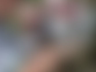 Nature Detectives Day 2