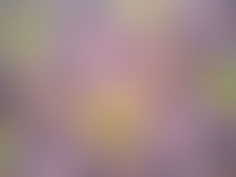 Wild World Session 3 Day 5