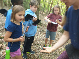 Above and Below Week 3 Day 3