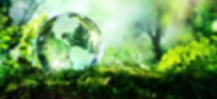 Biodiversity3.jpeg