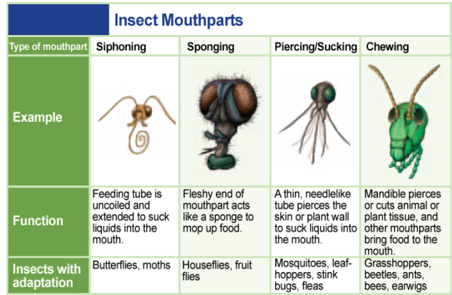 www.sciencedirect.com