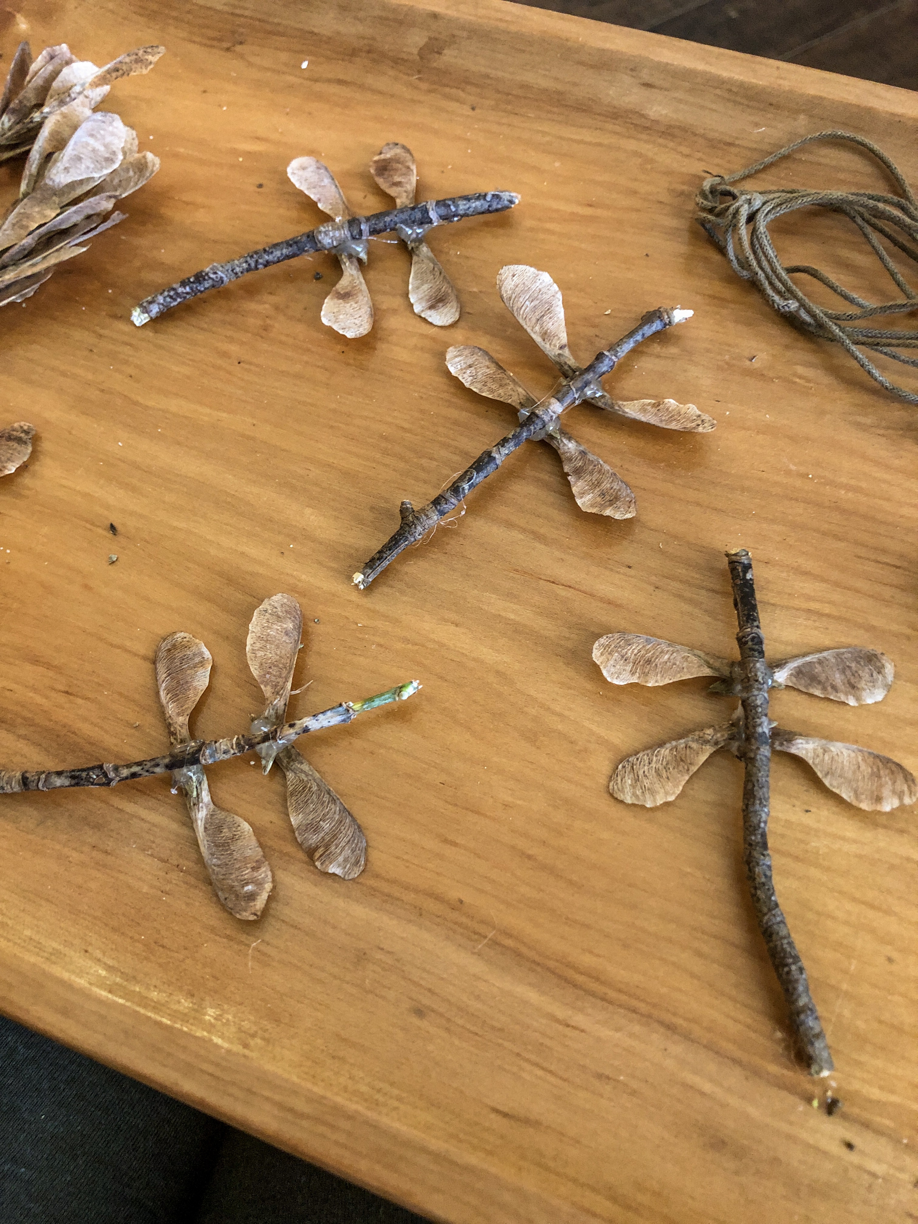 Pre-string dragonflies. We glued our wings every which way!