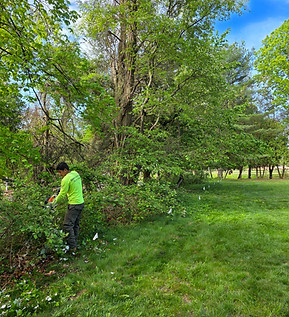 20250507_092138_edited.jpg