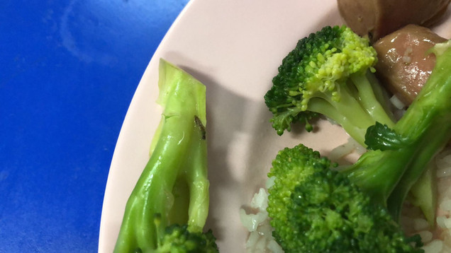 KReepy KRawlies: Kent Ridge Hall Spearheading Change towards Future Foods