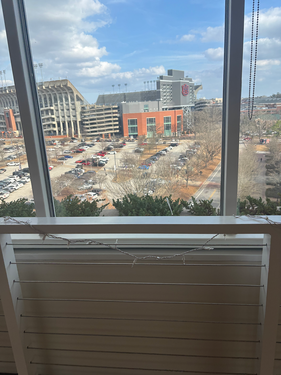 Auburn university landscape with Jordan-Hare in the background taken from a window of a group fitness room.