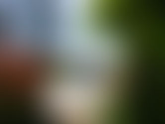 outside pool with trees surrounding