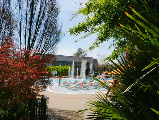 outside pool with trees surrounding
