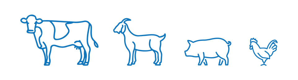 Animal icons-01.png