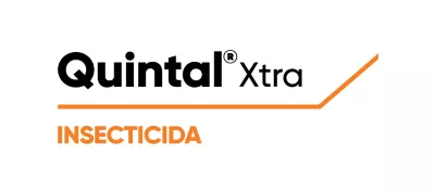 Quintal-Xtra.webp