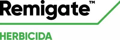 Remigate.webp