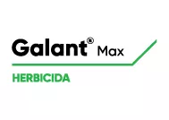 galant_max_logo.webp
