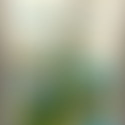 記念日を大事にします