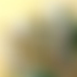 オプショナル