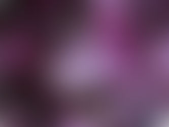 季節の手仕事*赤紫蘇*