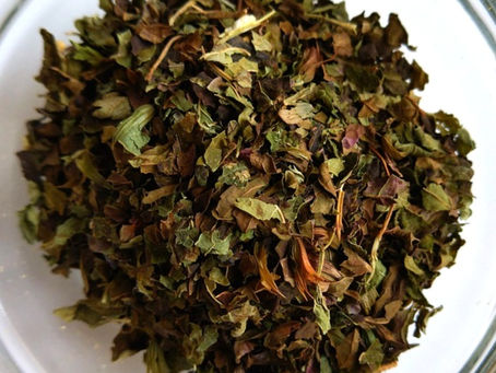Lemon Balm レモンバーム