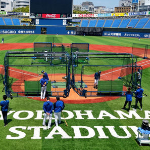 プロ野球観戦
