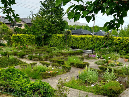 生活の木・薬香草園