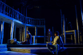 INTO THE WOODS