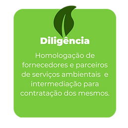 Caixa do serviço de Diligência