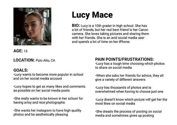 UserPersona1.png