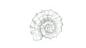 Design ohne Titel (4).png