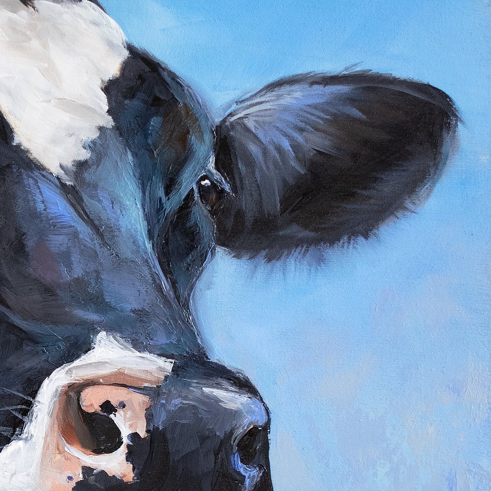 Thumbnail: Holstein Cow, 12x12 Acrylic on a Wood Panel **UNFRAMED