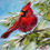 Thumbnail: Cardinal, 6x6 Acrylic on a Wood Panel **UNFRAMED