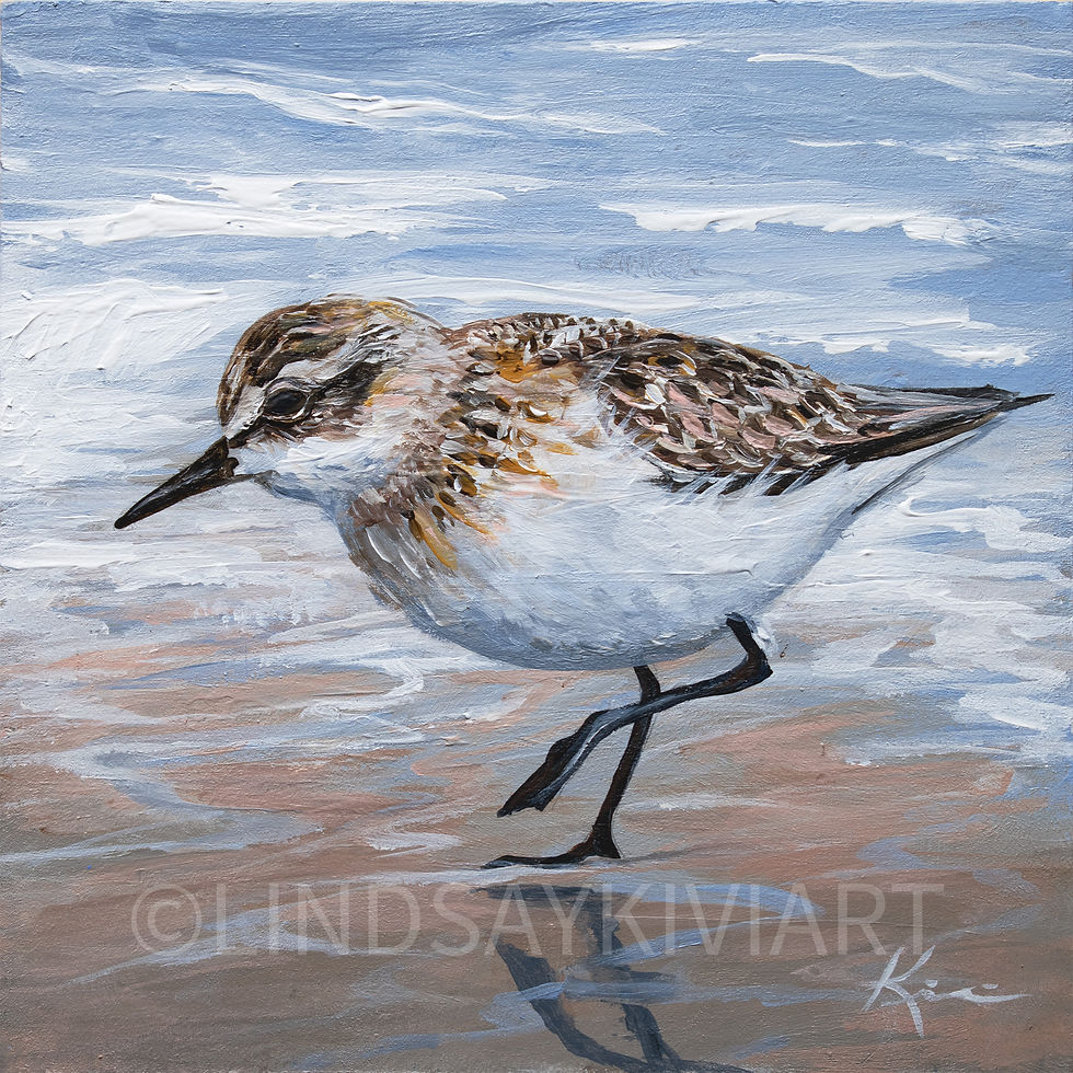 Thumbnail: “Sand Piper”  6x6