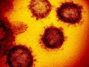 ●選挙で総理の椅子にしがみ付きたいだけの愚宰相文雄:尾身の手の中で転がされ踊る木偶