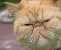 ●AERI・HEL(高出力レーザー)技術:対戦闘機・対ミサイル・対ICBM用 次世代迎撃レーザーシステム(AERI・HEL地対空防衛システム( ミサイル防衛システム ) ) その26