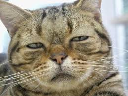 横浜市行政と市議会議員連中は横浜市の将来を喰い潰す