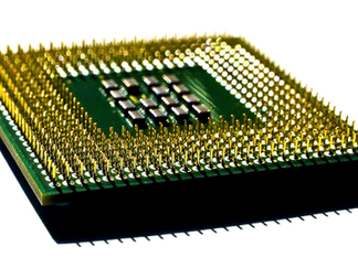 Re-programmable self-assembly of cranial nerves and brain cells embeds AERI's cutting-edge molecular