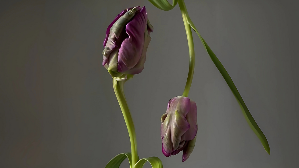 Ontwerp zonder titel (17).png