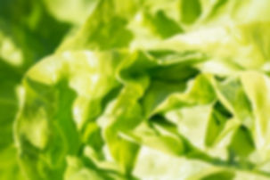 pexels-photo-208456.jpeg
