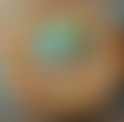 Februári - márciusi HÍRLEVÉL