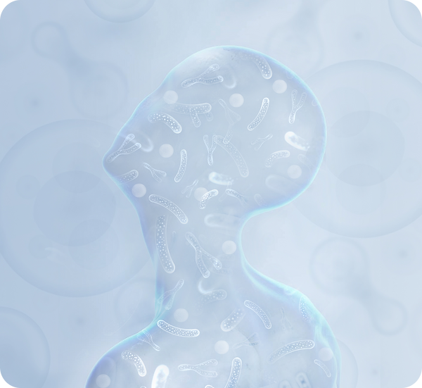 1111.png