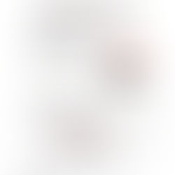 SRT停留所整備工事について