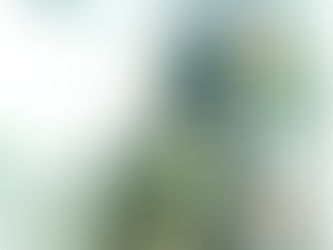 久屋大通南エリア再整備構想(案)