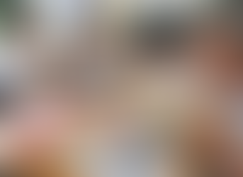 公立小学校の給食無償化で3党合意 児童1人あたり月5200円を支援