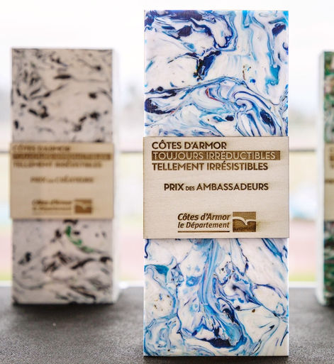 Trophée plastique recyclé côtes d'armor