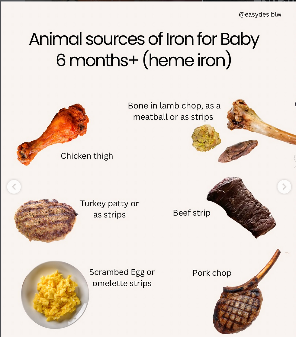 Infographic: animal iron foods for babies 6 months+, with labeled chicken, turkey, eggs, beef, lamb, and pork on white.